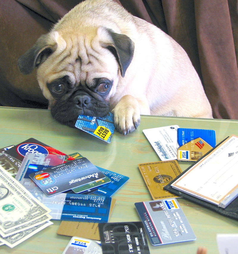Bankruptcy