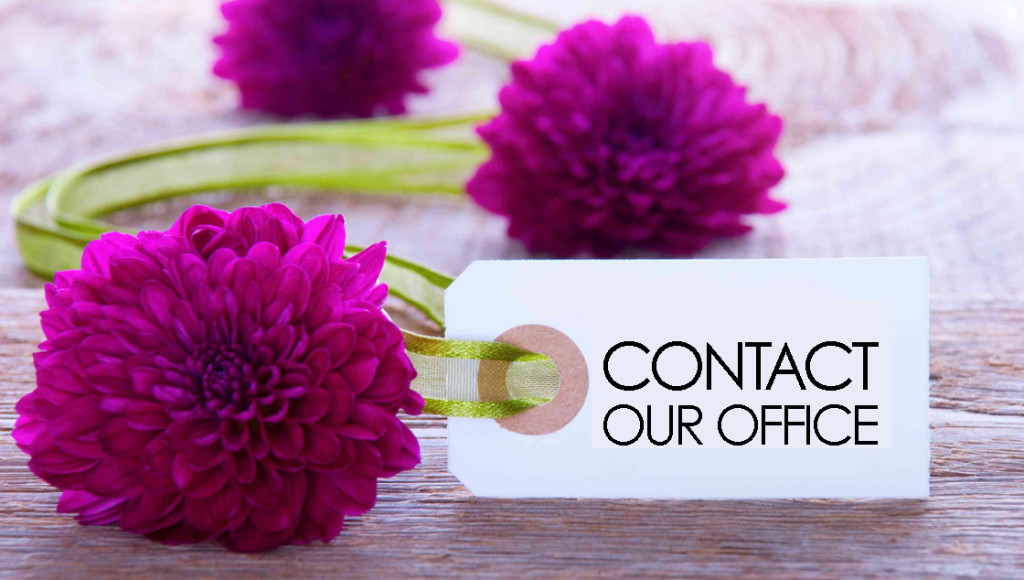 CONTACT Vicki McCarthy